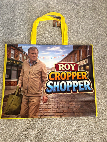 Reusable shopping bag large - reusable,